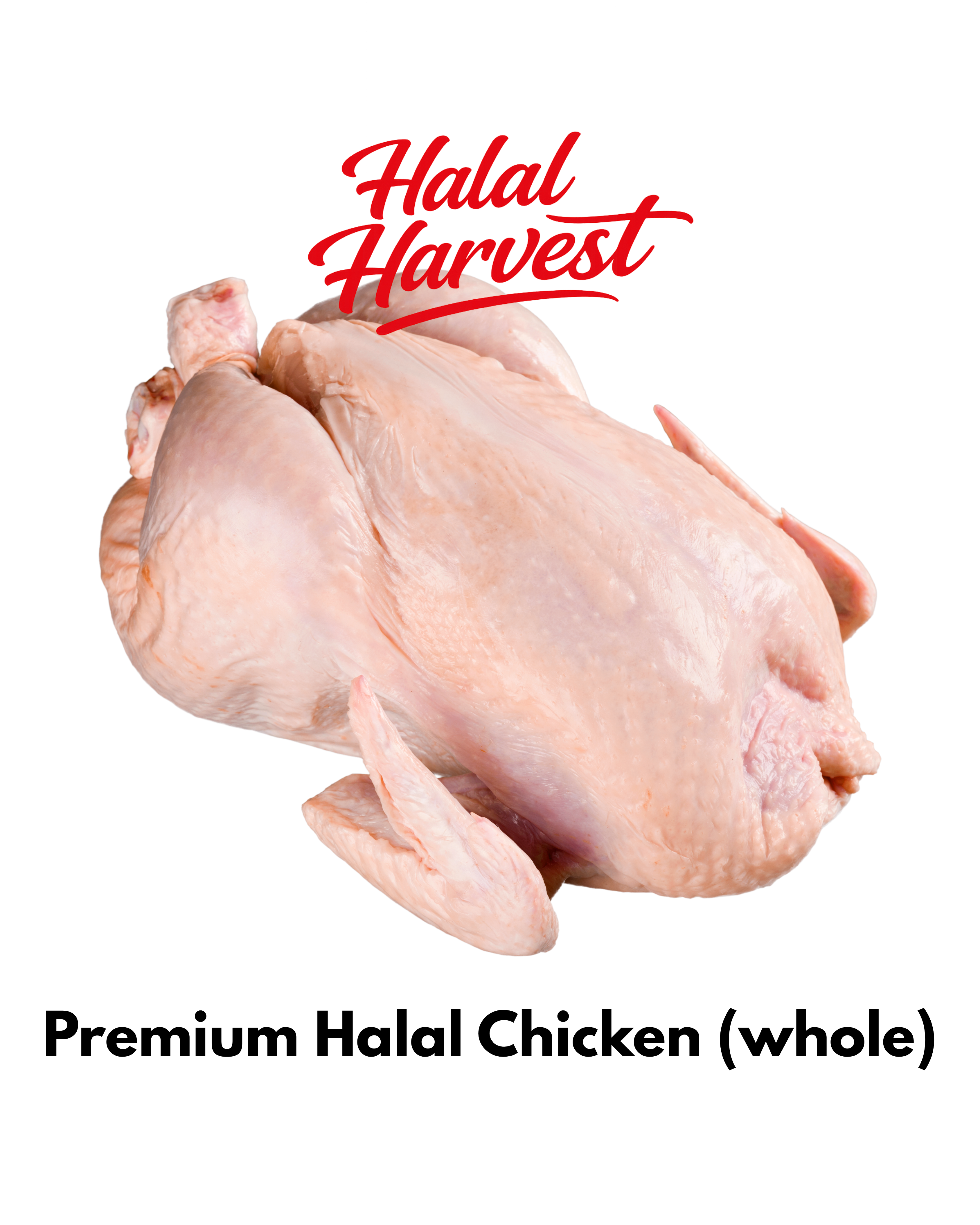 Whole Chicken (Fresh Halal – Skin On)