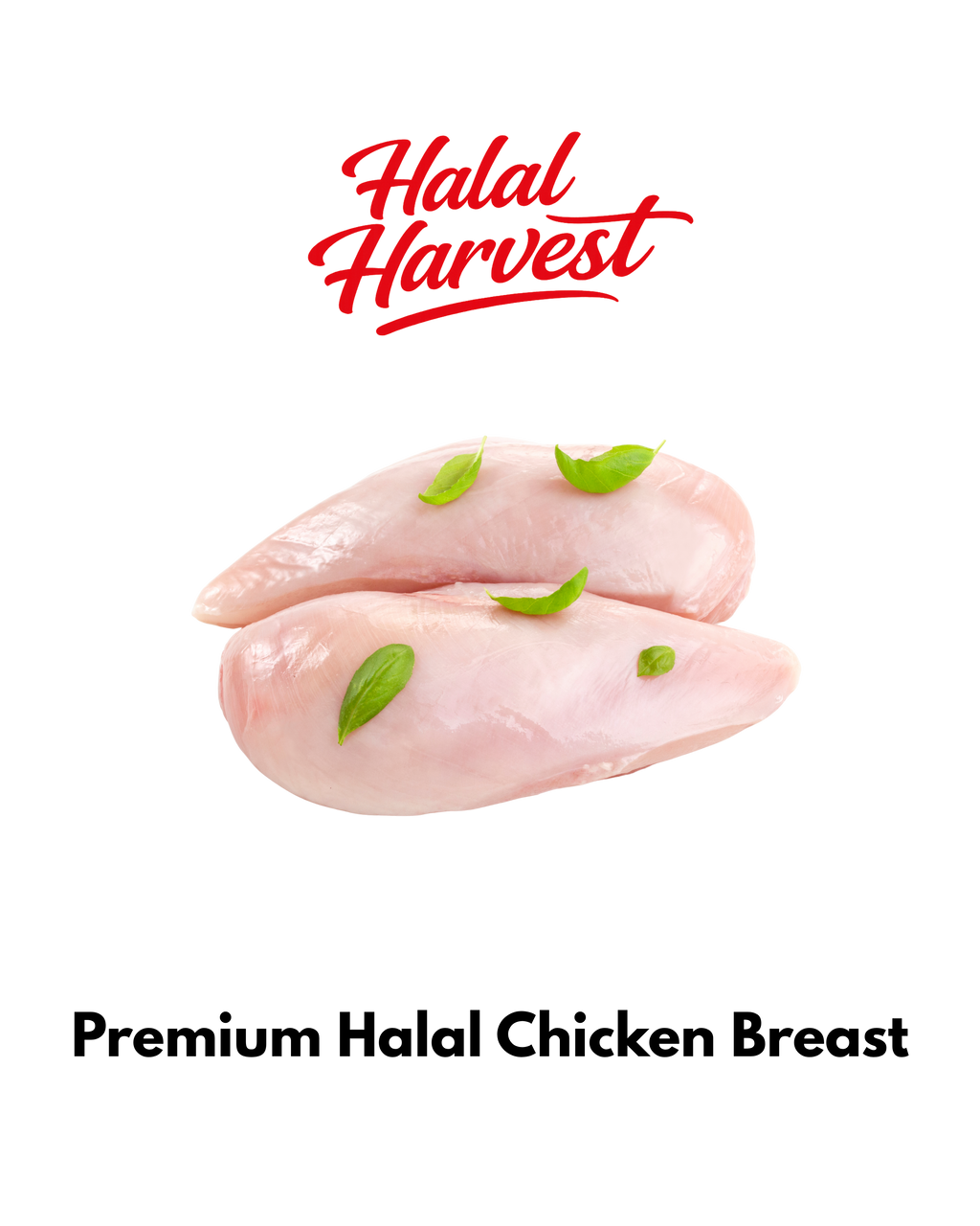 Chicken Breast Fillet (Lean & Boneless)