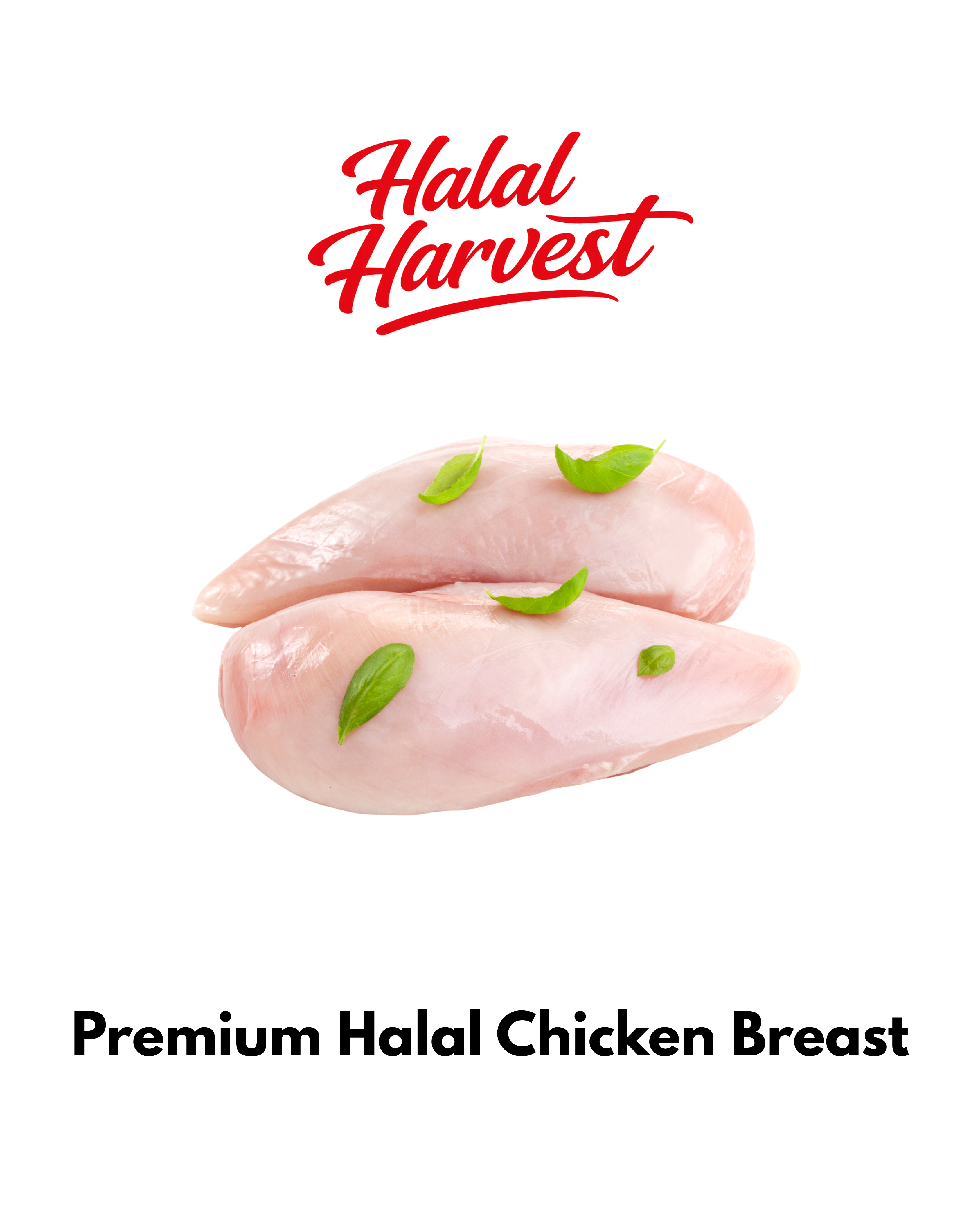 Chicken Breast Fillet (Lean & Boneless)